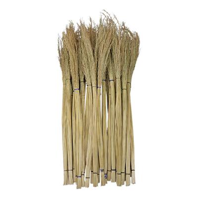 糯稻草芯甑选禾杆草端午捆绑粽子