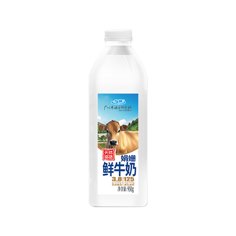 广州市奶牛研究所娟姗鲜牛奶950g