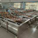 洗果机 蔬菜洗菜机 桑葚果蔬气泡清洗机 蓝莓杨梅加工清洗风干线