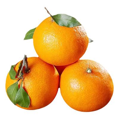 四川爱媛38号果冻橙子