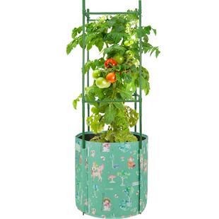 可调节爬藤种菜专用箱花盆种植袋黄瓜葡萄番茄爬藤架楼顶种菜架子