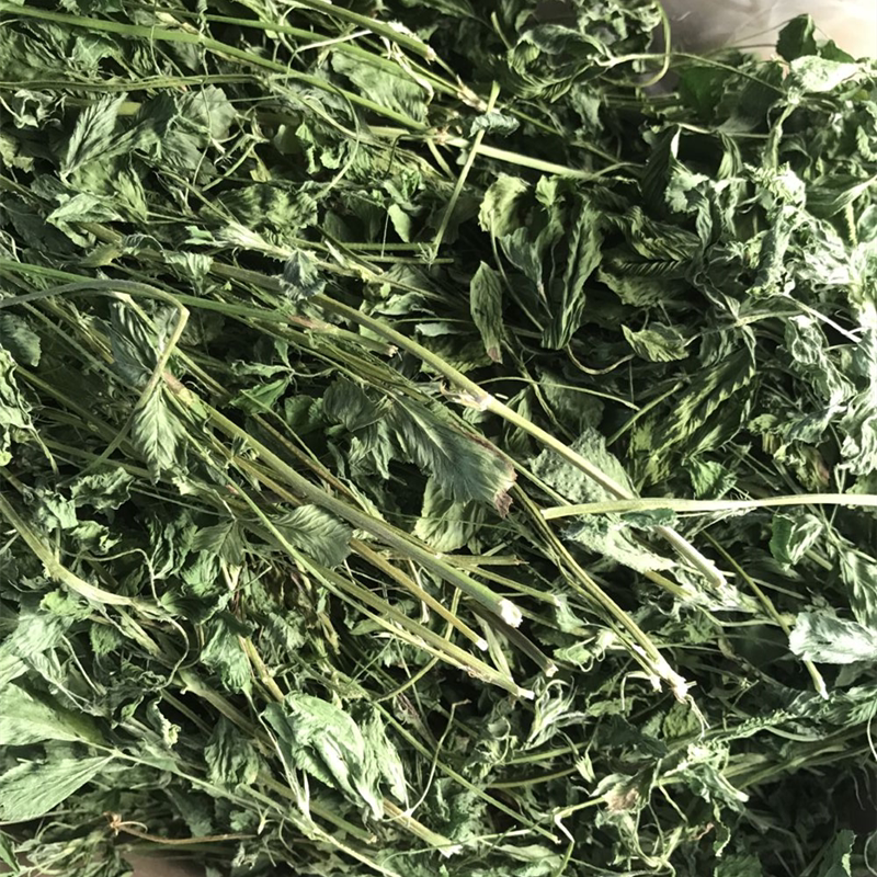 烘干紫花苜蓿草嫩草干草苜宿苜蓿苗嫩苗兔子草龙猫豚鼠牧草饲料