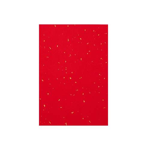 加厚万年红洒金红纸春联纸写对联的红纸专用纸手写空白挥春纸洒金红宣纸红色福字自写纸毛笔书法作品纸红纸条