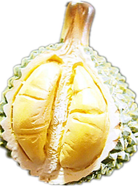 水果蔬菜榴莲冰箱贴家居装饰品