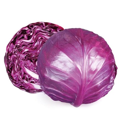 紫甘蓝菜种包菜紫包菜籽卷心菜