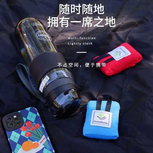 超轻薄儿童春游野餐垫口袋便携沙滩垫折叠户外地坐垫防水郊游垫子