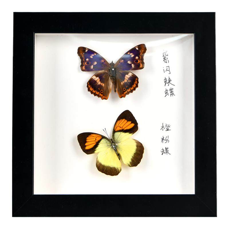 中空3立体相框永生花蝴蝶昆虫diy