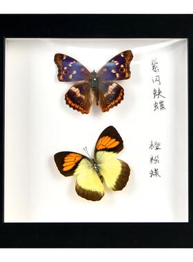 中空3立体相框永生花蝴蝶昆虫diy