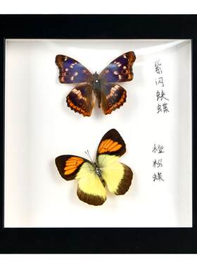 中空3立体相框永生花蝴蝶昆虫diy