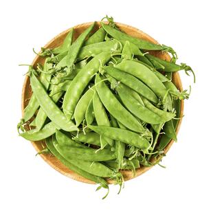 【YIKECAI】新鲜荷兰豆500g 新鲜蔬菜甜豆青豆菜豌豆刚豆