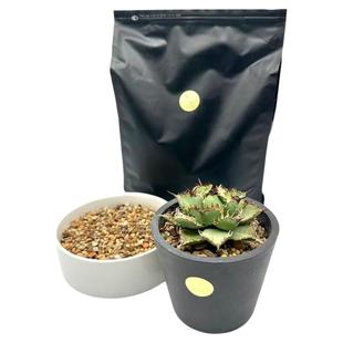 windpot颗粒土块根植物营养土龙舌兰仙人球专用粗细配多肉铺面