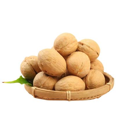 西北之星纸皮核桃独立包装原味