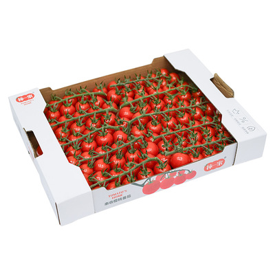 柿一家串收樱桃番茄1.5kg新鲜水果千禧圣女果小西红柿绿色一颗