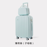 Мята -фиолетовая материнская коробка