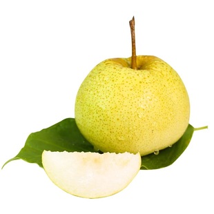 梨苗翠玉翠冠秋月梨新品种518梨嫁接苗梨树种植四季梨苗裸根带