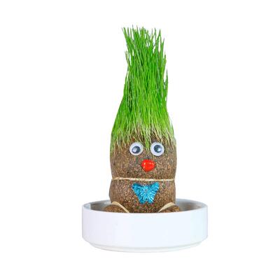 小盆栽草头娃娃性价比高