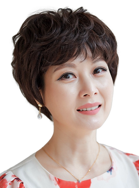 美禾时尚中老年妈妈假发全头套