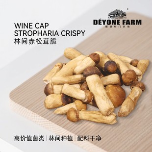 德源朴门林间赤松茸脆盒装零食蘑菇脆80g解馋小零食健康即食零食
