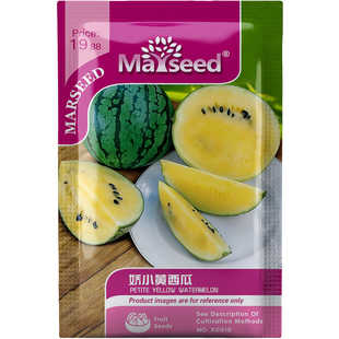 袖珍蜜果娇小黄西瓜种子种苗黄色渐变果肉凉润迷你甜蜜蔬菜B219