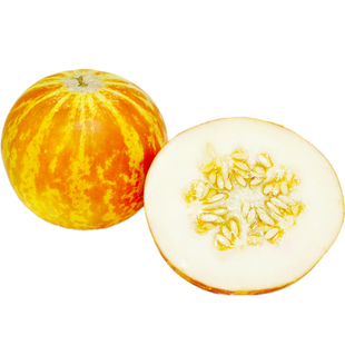 跳跳虎甜瓜种子传家宝新鲜甜蜜高产浓郁多汁可留种阳台春秋盆栽