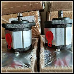 GHP1A FG马祖奇齿轮油泵 意大利MARZOCCH IGHP1A