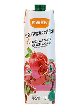 意文果汁塞浦路斯进口果味饮料