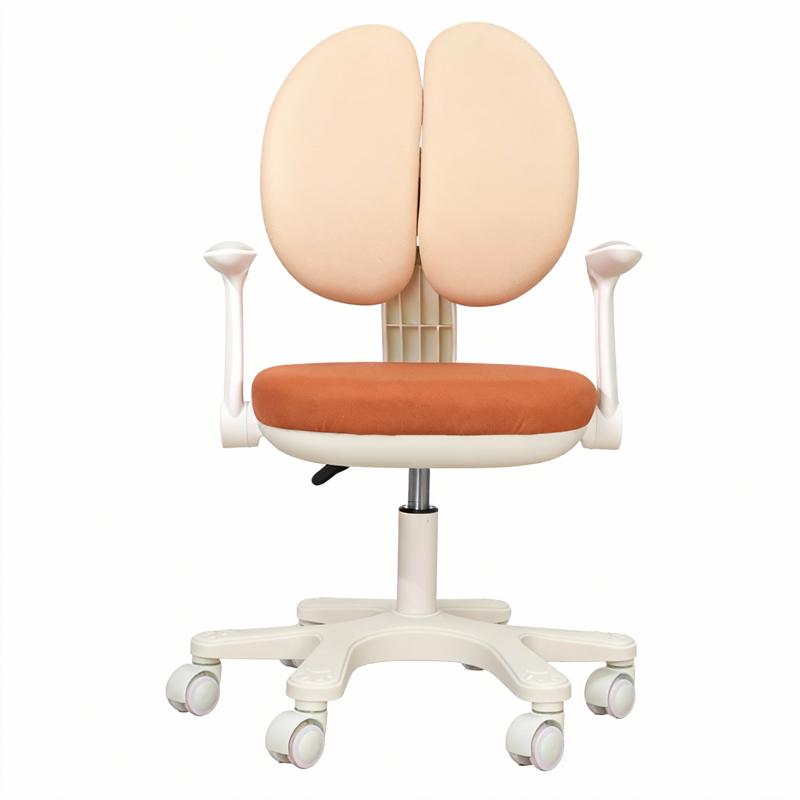 享学电脑椅家用舒适久坐不累护腰可升降人体工学椅子办公靠背椅座