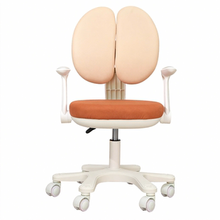 享学电脑椅家用舒适久坐不累护腰可升降人体工学椅子办公靠背椅座