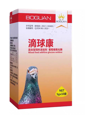 衣原净单眼伤风格莱德赛鸽信鸽