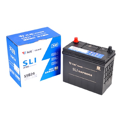 【官方推荐】天能12v45ah蓄电池