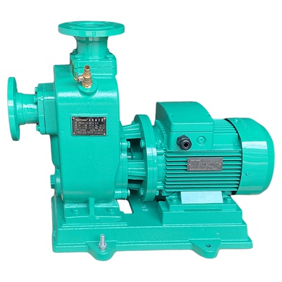 直联式排污泵WLPUMP/中威铸铁