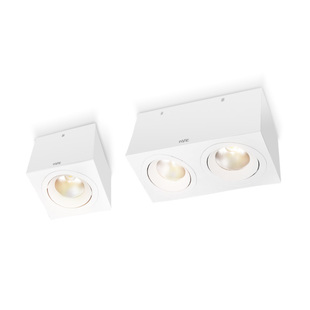 雷士照明led明装格栅射灯客厅方形筒灯盒子单双头斗胆吸顶无主灯