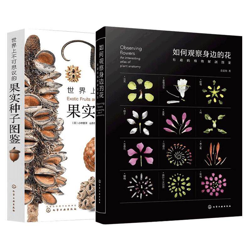 自然探索科普课外阅读书籍