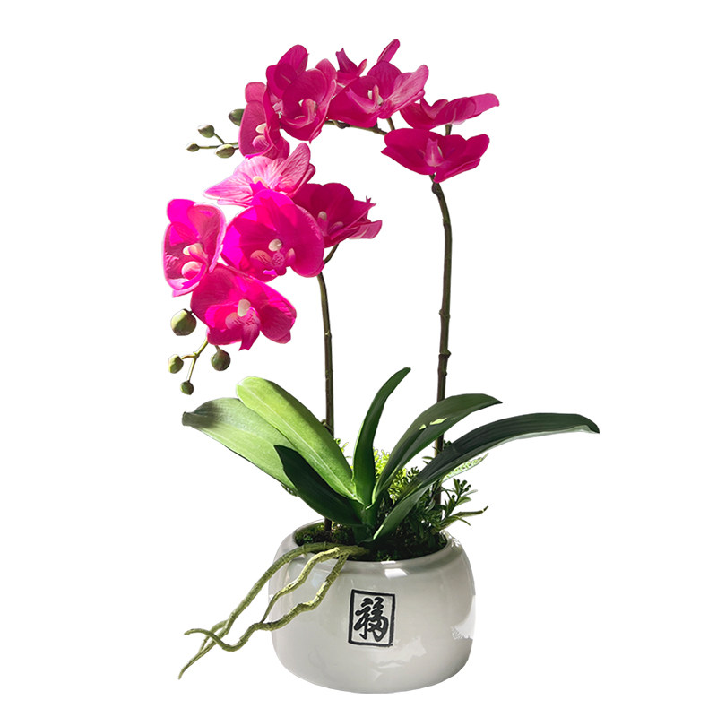 仿真蝴蝶兰花手感高品质花艺摆件