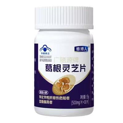 葛根灵芝护肝片李时珍养肝护肝片正品喝酒熬夜肝火旺官方旗舰