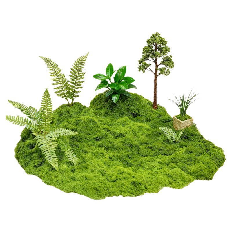 仿真苔藓草皮仿生人造假苔藓微景观布置摆件草坪永生苔藓盆栽造景
