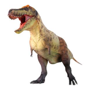 【顺丰包邮】好龙谷【1:35霸王龙】侏罗纪白垩纪暴龙模型礼物玩具