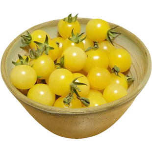 哈特曼黄醋栗樱桃小番茄种子皮薄多汁超甜高产传家宝春秋阳台盆栽