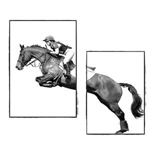 美式轻奢马的图案装饰画现代客厅沙发背景墙壁画北欧上下组合挂画