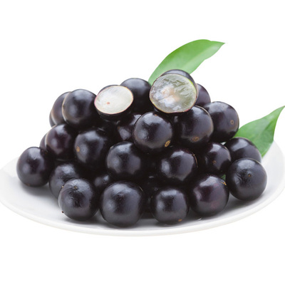 特级嘉宝果树葡萄珍品