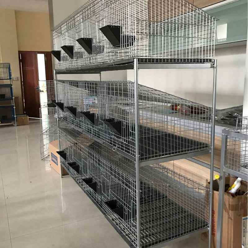 定制兔笼 三层12位层叠式大号兔笼免清粪  养殖场兔笼 子母兔笼,畜牧/养殖物资,养殖笼具/鸡笼/兔笼/鸽笼,淘宝优惠券,粉丝福利购,淘宝优惠卷