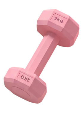 慧博哑铃女士家用健身瘦肚子2kg一对彩色女生小哑铃塑形翘臀健身