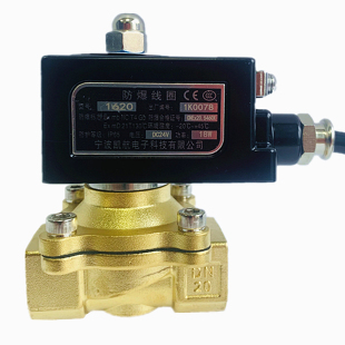 防爆电磁阀4分 220VDN15/20/25常闭煤气阀天然气开关阀门电磁气阀
