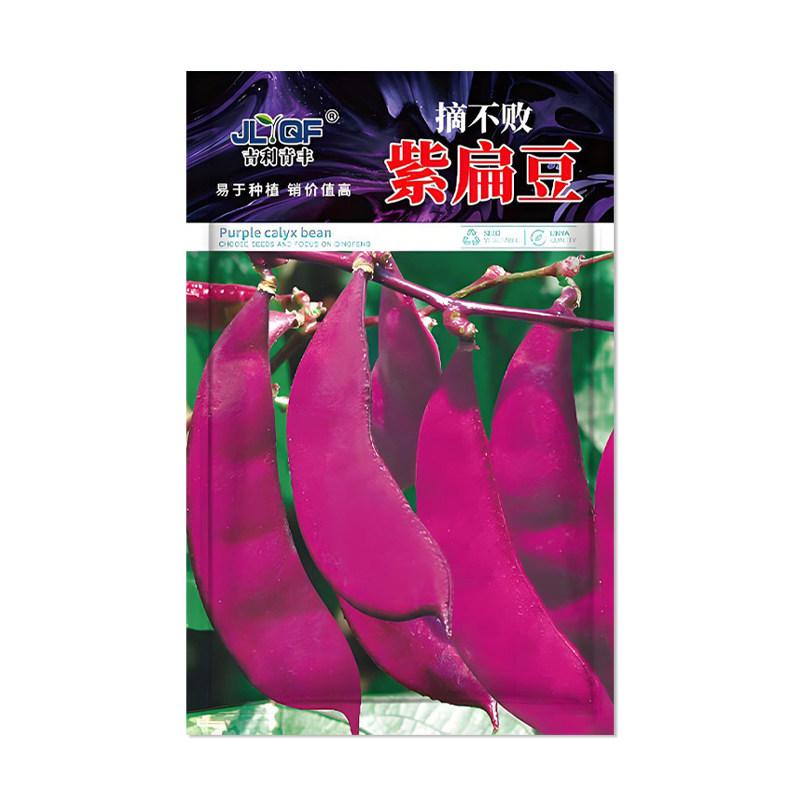 吉利青丰摘不败紫眉豆种子
