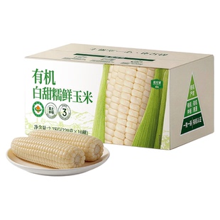 有机白糯玉米东北新鲜甜糯玉米棒苞米独立真空装加热即食早餐主食