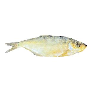 三刨鳓鱼咸力鱼霉香鳓鱼白鳞鱼宁波特产压饭榔头大号咸鳓鱼3条/斤