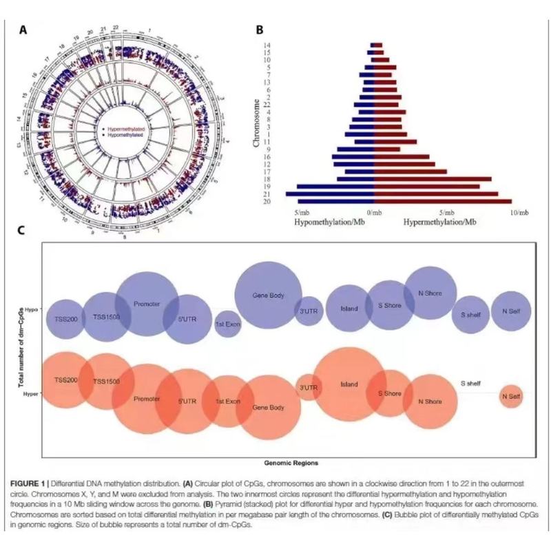 生信分析GEO数据库联合孟德尔随机化发文章单基因孟德尔随机化MR