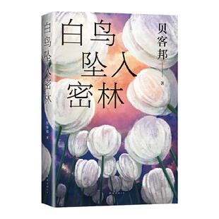【正版】白鸟坠入密林(八品)贝客邦南海出版公司