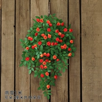 Бутон Виктории настенный подвесной оранжевый