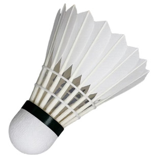 羽毛球鹅毛12只装/6耐打王白色黑色训练专业比赛耐打球夜光尼龙